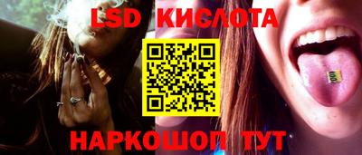 шишки Кузнецк