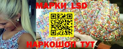 шишки Кузнецк
