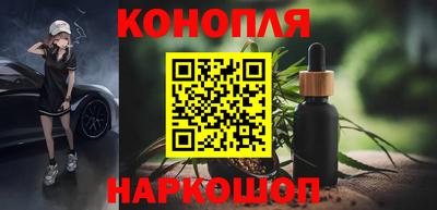 шишки Кузнецк