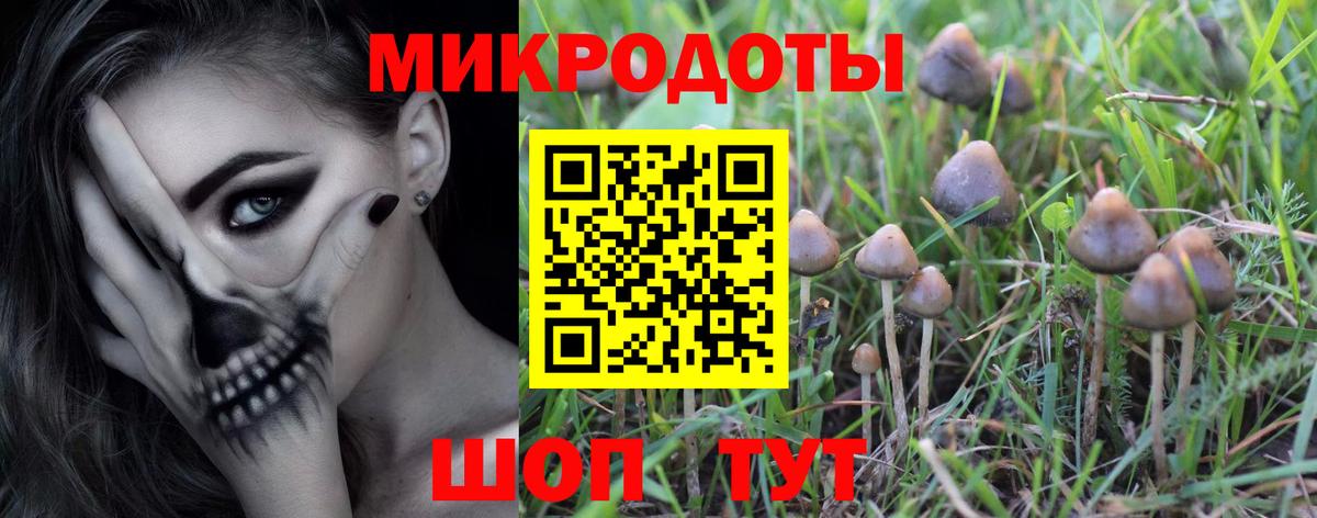 Нововоронеж  Псилоцибиновые грибы Psilocybine cubensis  где найти   Псилоцибиновые грибы Magic Shrooms  Вход с VPN 